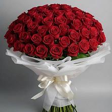 Букет 101 Красная роза Блэк Мэджик в Итатский