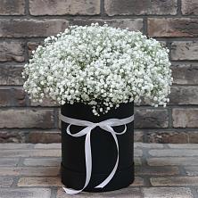 Цветочная композиция из Гипсофила в шляпной коробке в Итатский