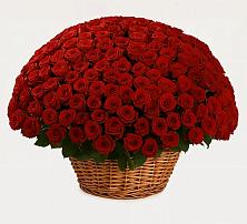 Премиум букет из: Розы в Итатский