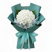 Букет цветов из:  Гортензия в Итатский